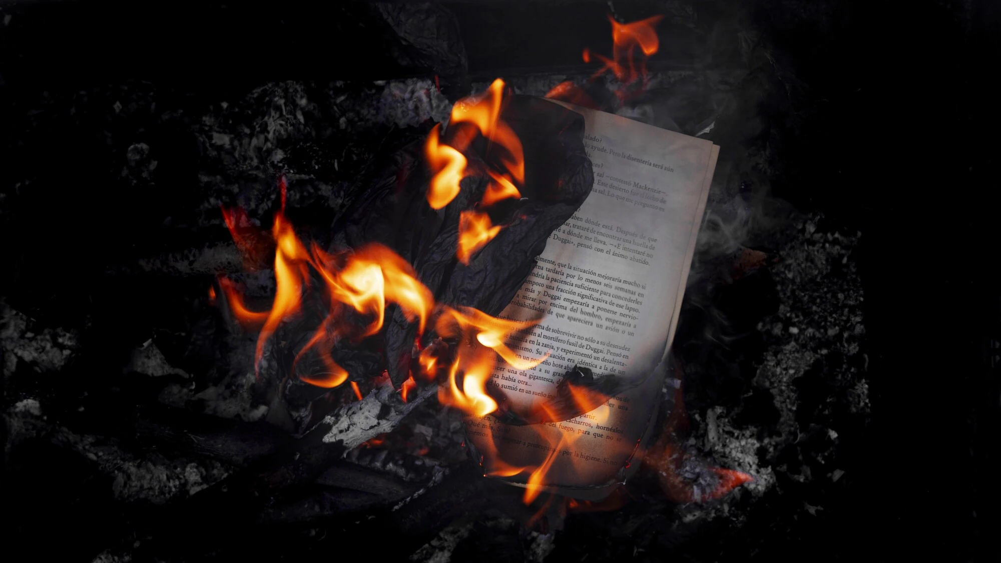 Цифри втрат українського книговидання після ударів: понад 1,5 млн знищених книжок