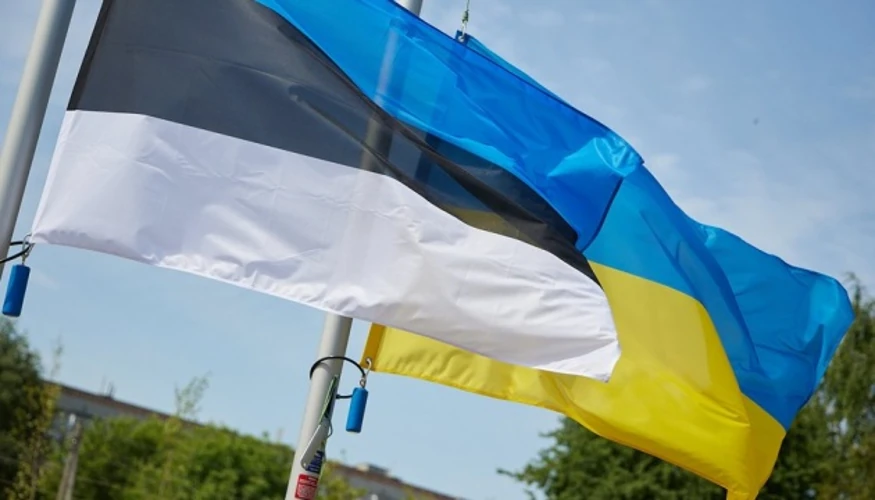 Підготовка до зими: Естонія виділила Україні понад 300 тисяч євро